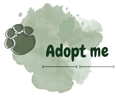 AdoptMe logo